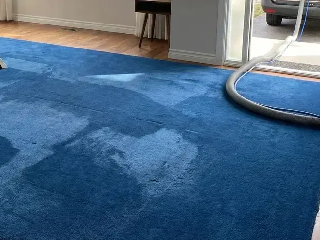 An extraction wand drawing water out of a soaked blue area rug on the floor