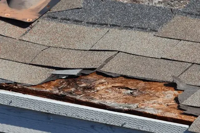 Lifted shingles exposing rotted roof decking along the eave